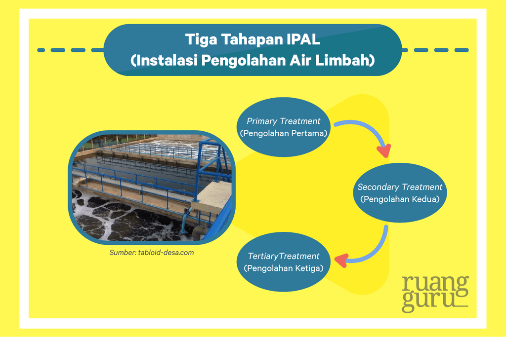 Penyebab, Dampak, Dan Cara Penanggulangan Pencemaran Air | Biologi Kelas 7